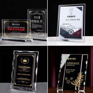 Acrylic Custom Trophy