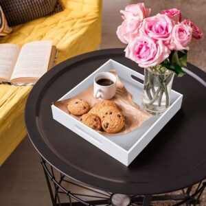 Acrylic Tray Organizer