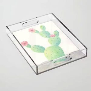 Coloured Acrylic Tray