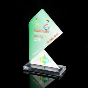 Custom Acrylic Crystal Trophy