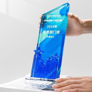 Custom Acrylic Trophy