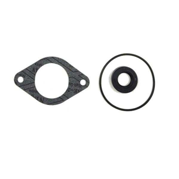 Perkins SE152D26 Kipphebelgehäuse Dichtung