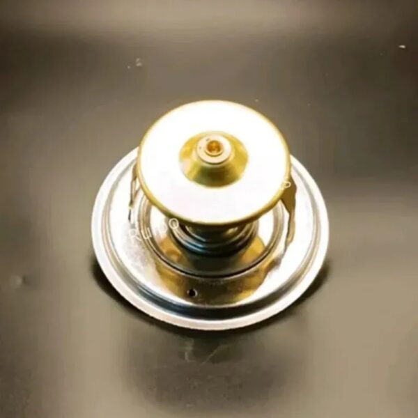 Perkins Thermostat SE573 1