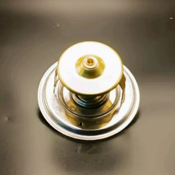 Perkins Thermostat SE573/1